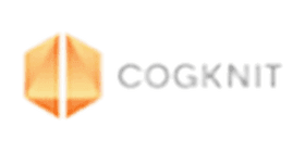 Cogknit